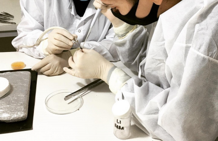 CPPI ESTUDOS