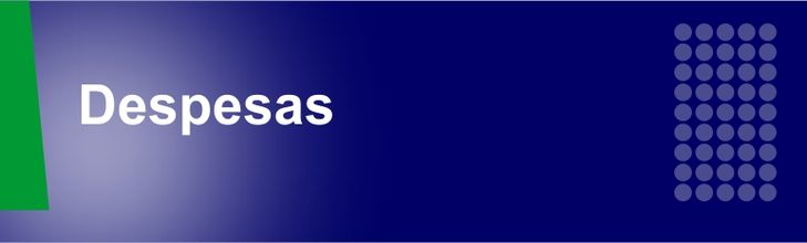 Despesas