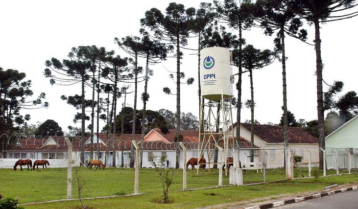 Centro de Produção e Pesquisa de Imunobiológicos