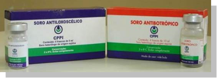 Soros produzidos pelo CPPI