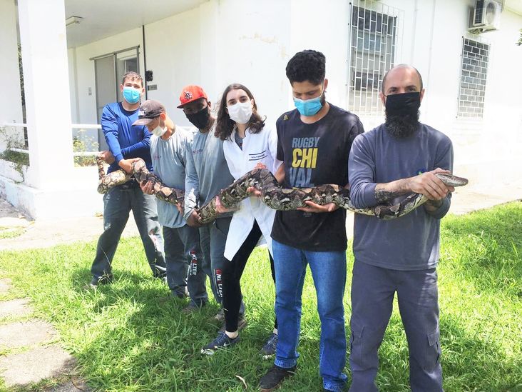 Serpentário CPPI