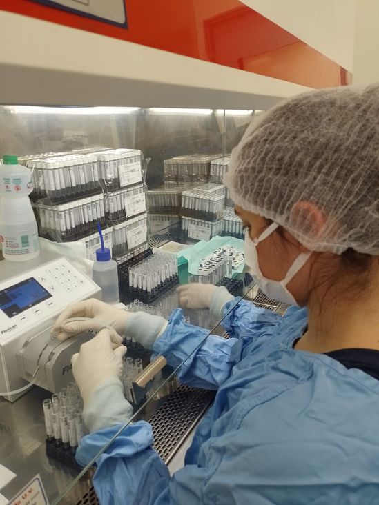 CPPI FUNEAS retoma a produção de Meios de Transporte Viral para a Secretaria da Saúde 