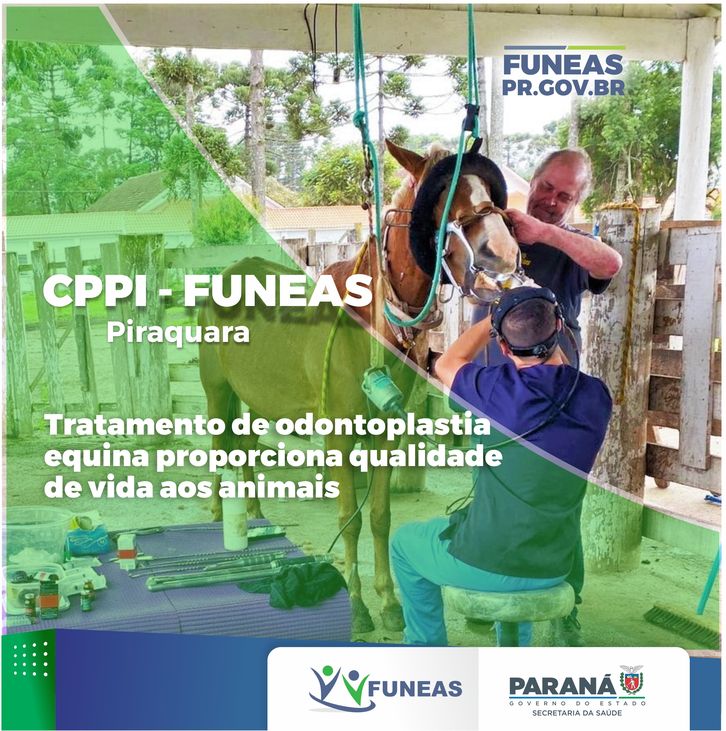 CPPI FUNEAS - Odontoplastia equina aranha marrom picada cobra jararaca