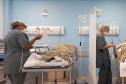 Hospital Regional de Ivaiporã amplia leitos e triplica número de cirurgias do SUS