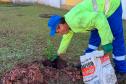 HIWM - FLORESTA TERAPEUTICA 2026