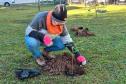 HIWM - FLORESTA TERAPEUTICA 2026