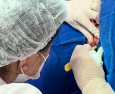 HDS - Mutirão de consultas dermatológicas no HRL
