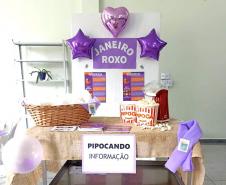 HDS - Janeiro Roxo 2025