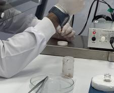 CPPI - Coleta Aranhas Marrom