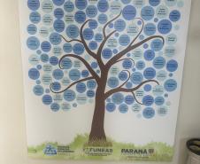 Hospital Zona Sul de Londrina - 35 anos