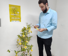Sede - Setembro Amarelo