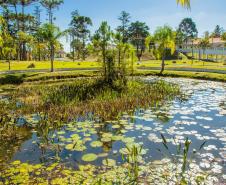 HDS - PREPARATIVOS PARA OS 100 ANOS