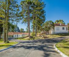 HDS - PREPARATIVOS PARA OS 100 ANOS