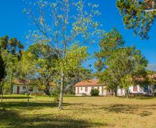 HDS - PREPARATIVOS PARA OS 100 ANOS