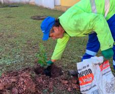 HIWM - FLORESTA TERAPEUTICA 2026