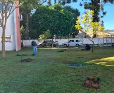 HIWM - FLORESTA TERAPEUTICA 2026