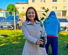 HIWM - FLORESTA TERAPEUTICA 2026
