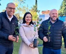 HIWM - FLORESTA TERAPEUTICA 2026