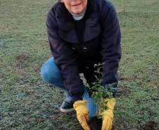 HIWM - FLORESTA TERAPEUTICA 2026