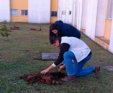 HIWM - FLORESTA TERAPEUTICA 2026