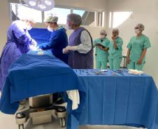 HRCO - PRIMEIRA CIRURGIA - GALERIA