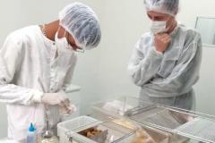 CPPI - Avanços para a produção do soro AntiCovid
