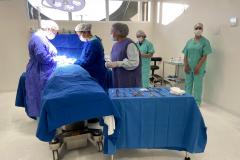HRCO - PRIMEIRA CIRURGIA - GALERIA