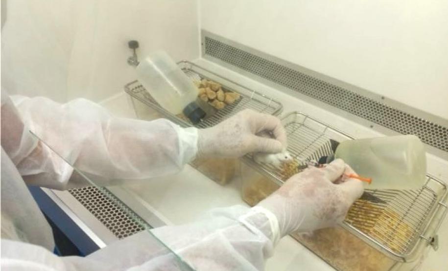 CPPI - Avanços para a produção do soro AntiCovid