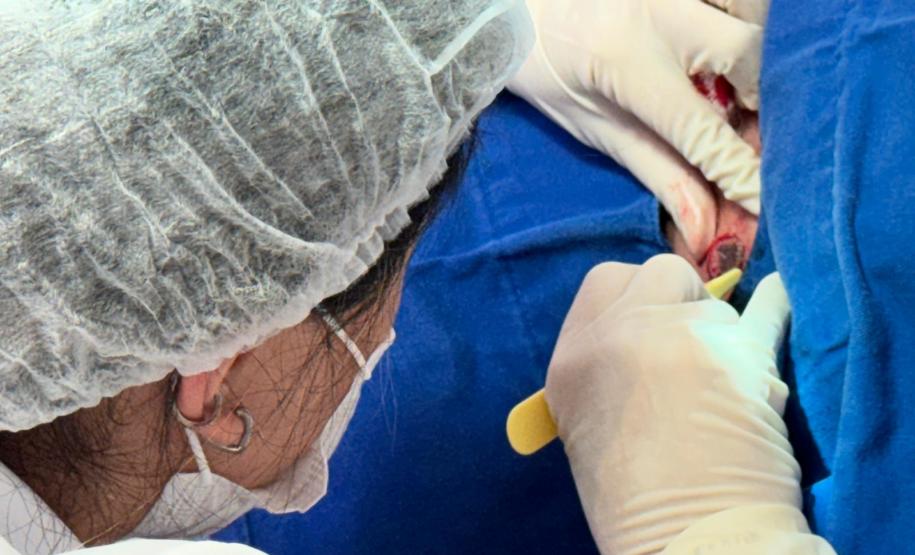 HDS - Mutirão de consultas dermatológicas no HRL