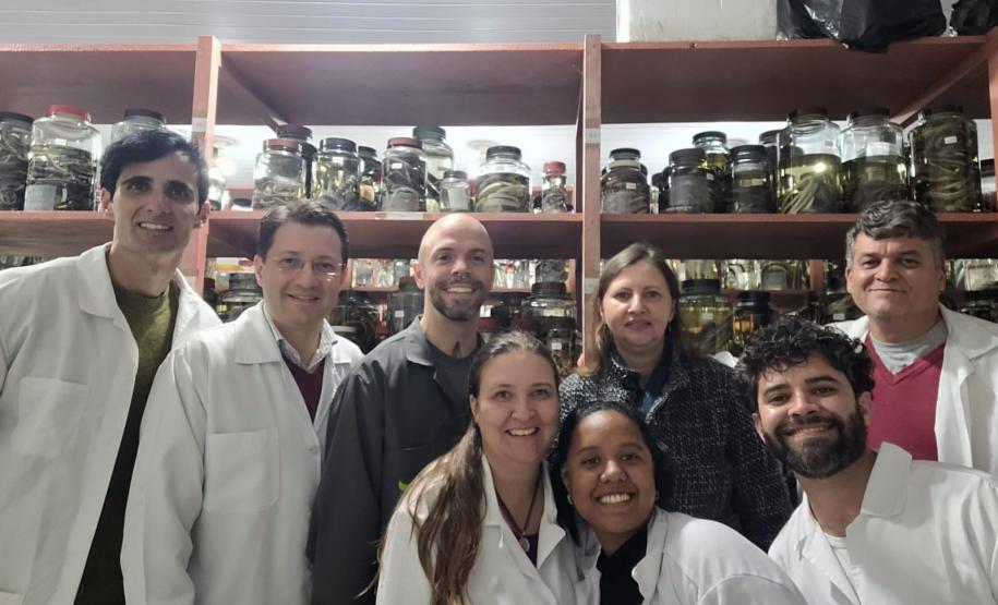 CPPI - Capacitação