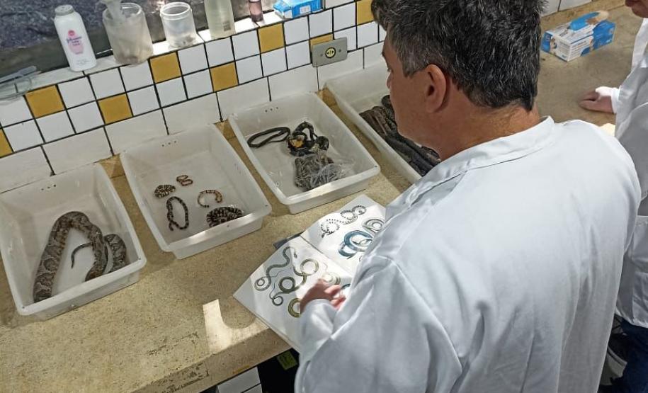 CPPI - CAPACITAÇÃO