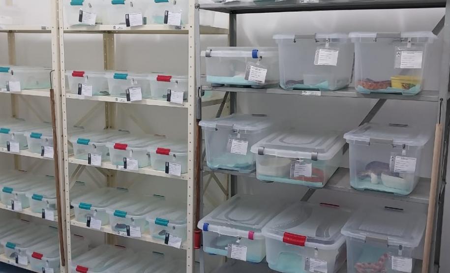 CPPI - CAPACITAÇÃO