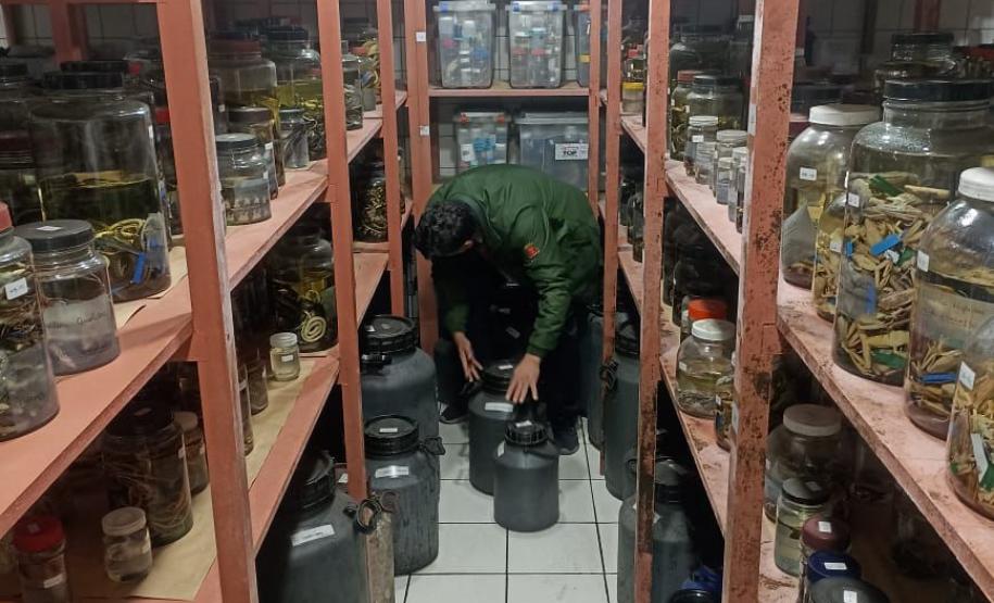 CPPI - CAPACITAÇÃO