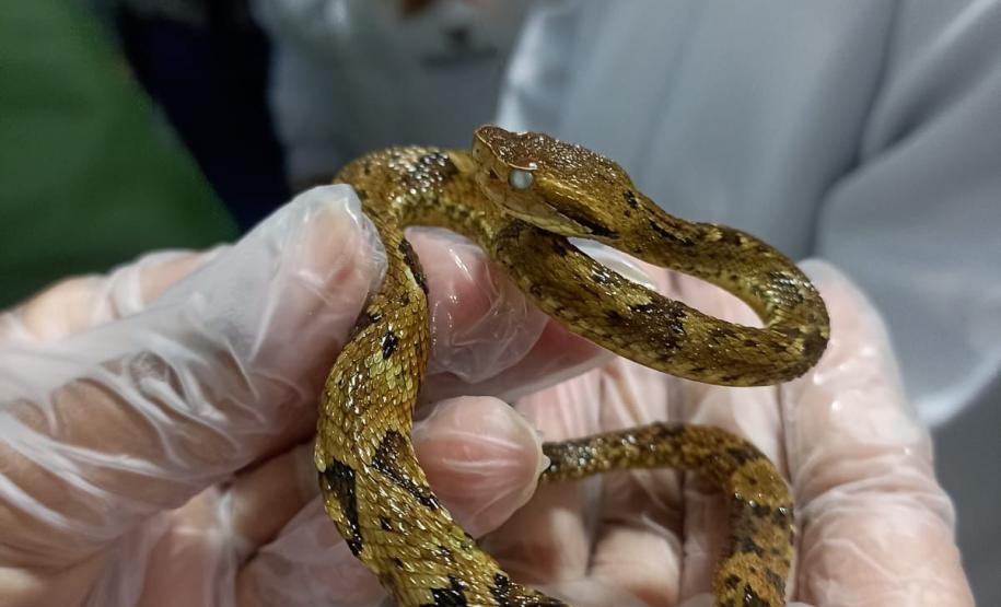 CPPI - CAPACITAÇÃO