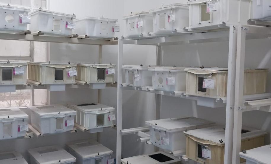 CPPI - CAPACITAÇÃO