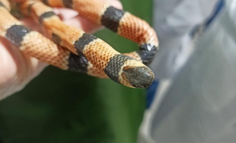 CPPI - CAPACITAÇÃO