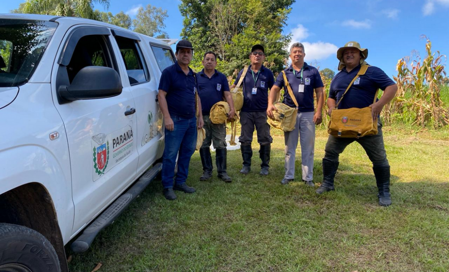 CPPI - Coleta Aranhas Marrom