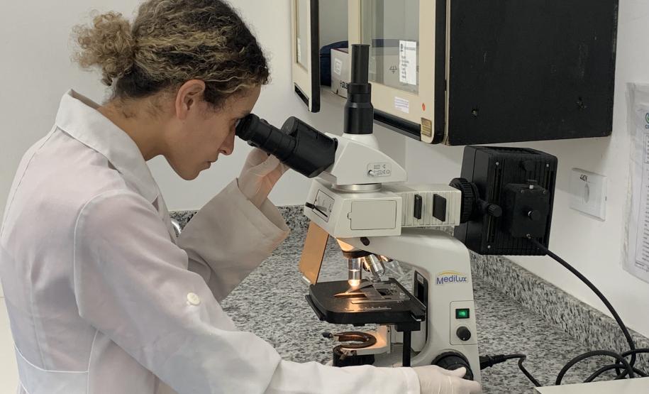 CPPI - Coleta Aranhas Marrom