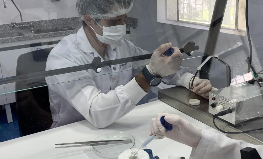 CPPI - Coleta Aranhas Marrom