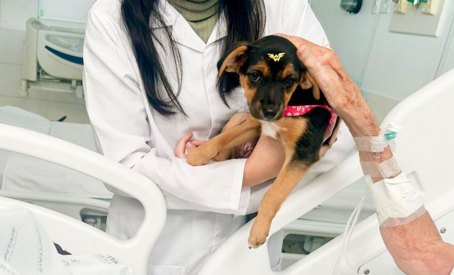 Ações de humanização - unidades hospitalares