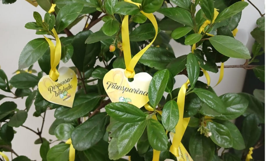 Sede - Setembro Amarelo