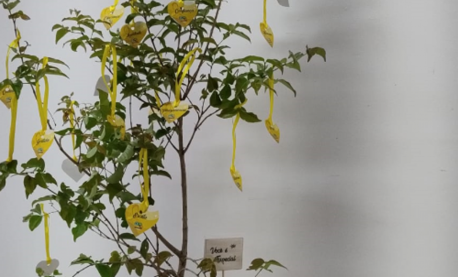 Sede - Setembro Amarelo