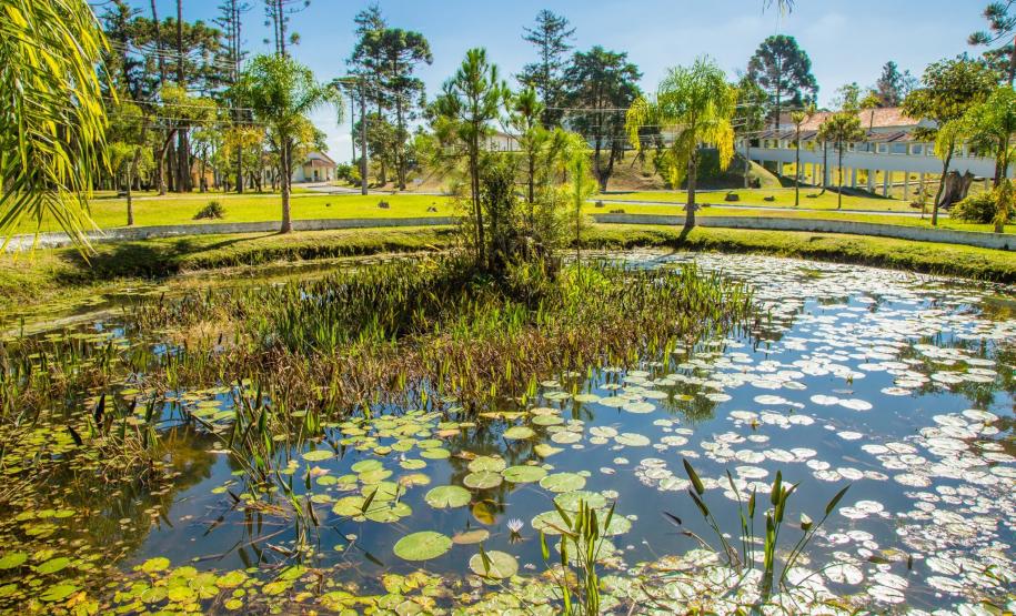 HDS - PREPARATIVOS PARA OS 100 ANOS
