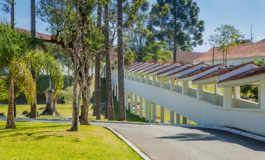 HDS - PREPARATIVOS PARA OS 100 ANOS