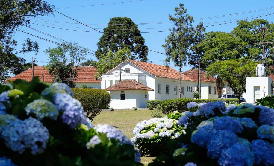 HDS - PREPARATIVOS PARA OS 100 ANOS