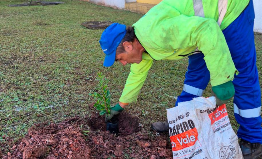 HIWM - FLORESTA TERAPEUTICA 2026