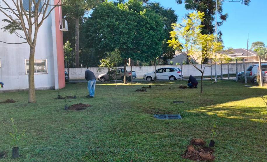 HIWM - FLORESTA TERAPEUTICA 2026