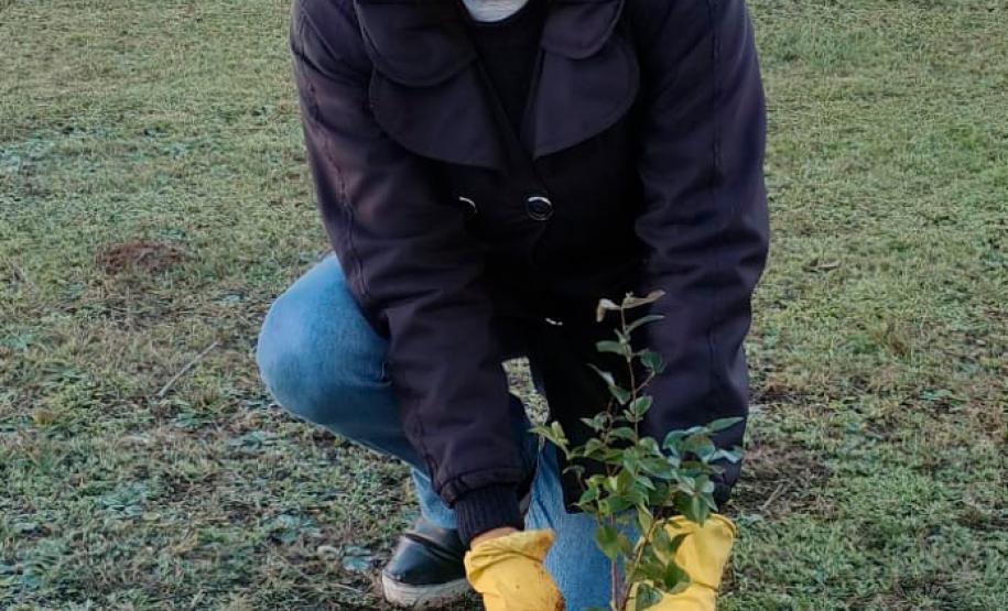 HIWM - FLORESTA TERAPEUTICA 2026