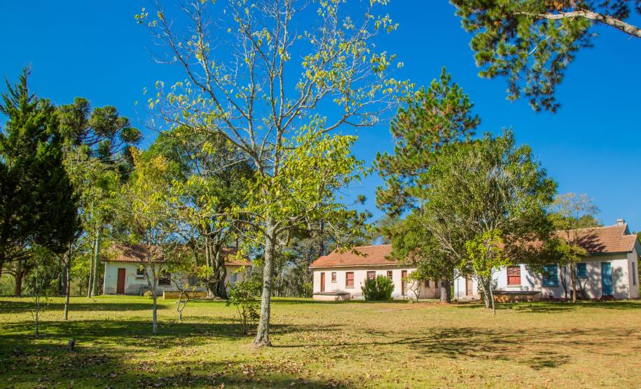 HDS - Centenário - 2026