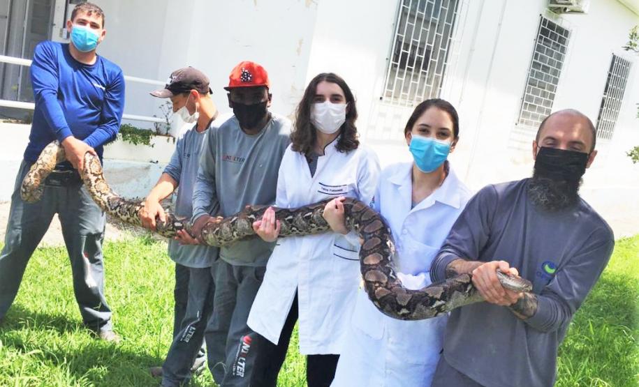 Serpentario CPPI - Galeria Serpentario CPPI